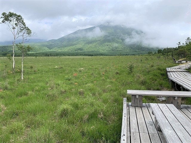 日光 奥日光散策 小田代原の貴婦人と戦場ヶ原を流れる湯川