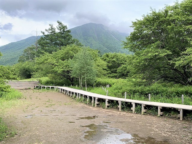 日光　奥日光散策　小田代原の貴婦人と戦場ヶ原を流れる湯川　　　　　Odashirogahara & Senjōgahara in Nikkō National Park_f0308721_02483346.jpg