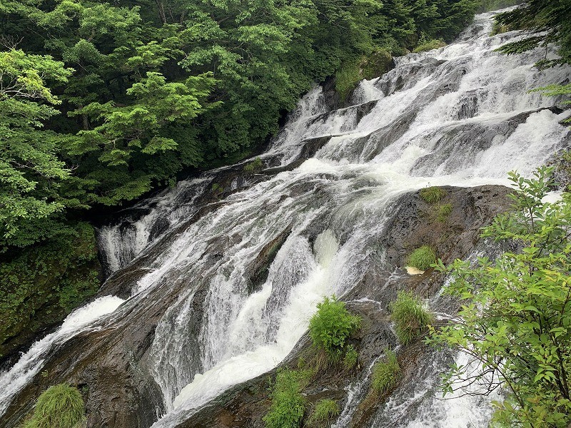 日光　奥日光散策　小田代原の貴婦人と戦場ヶ原を流れる湯川　　　　　Odashirogahara & Senjōgahara in Nikkō National Park_f0308721_02485475.jpg