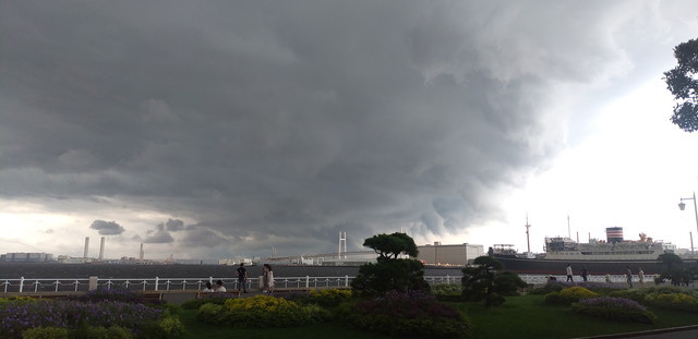 太陽祭2021 フェイズ3 その2 山猫を探す人