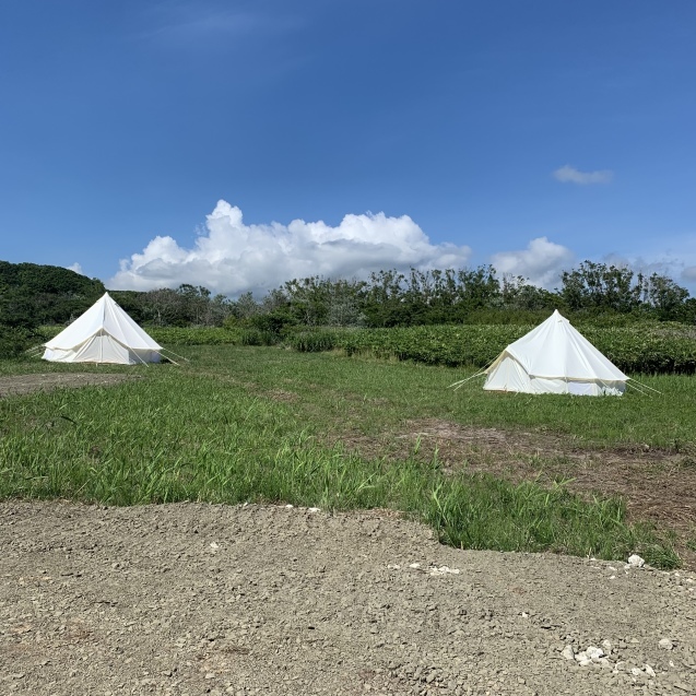 絶品！ウニを堪能ブロンプトン で奥尻島を走って来ました！前編_d0197762_19114024.jpeg