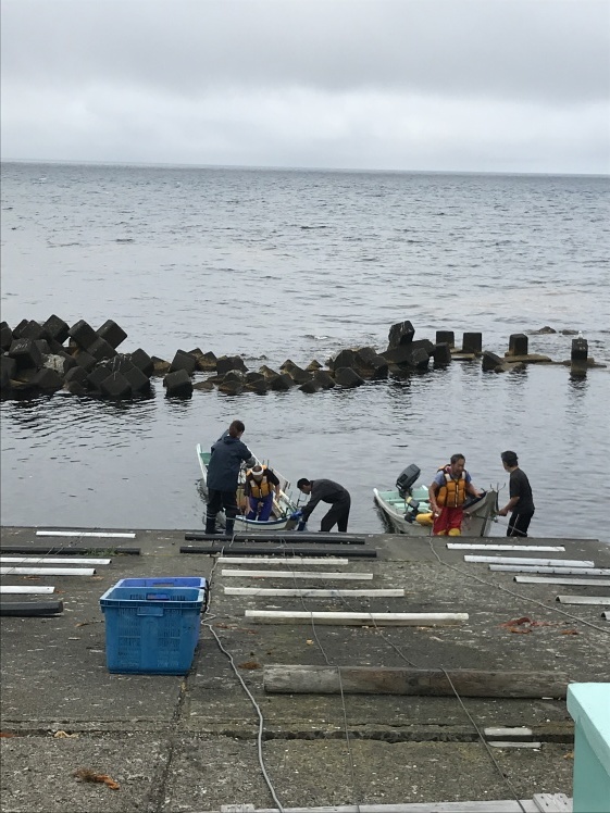 礼文島から利尻島へ_b0034072_12063543.jpeg
