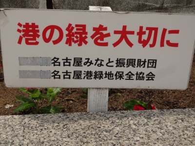 名古屋港水族館前花壇の植栽R3.7.12_d0338682_16180142.jpg