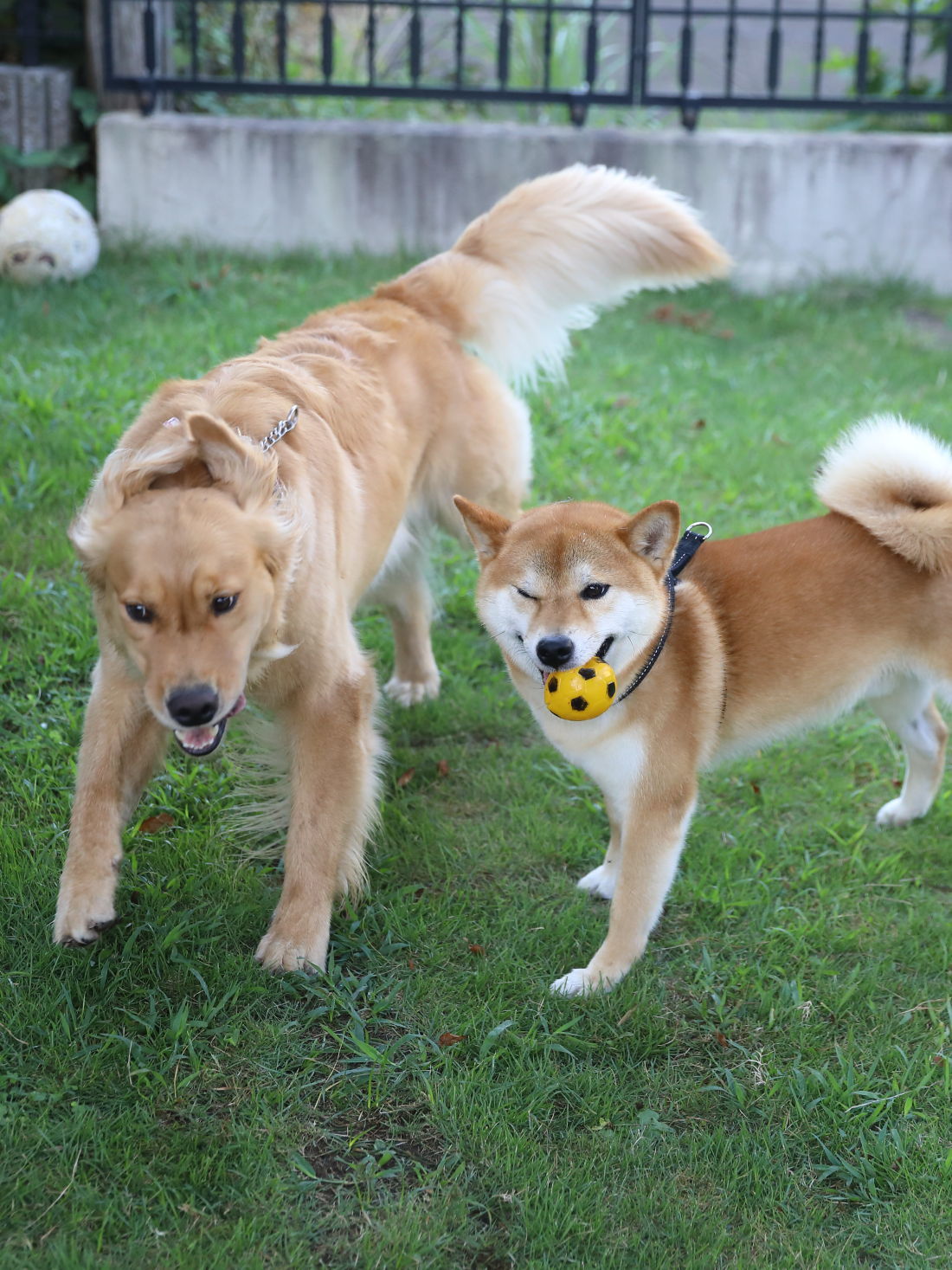 4連休の予定は・・・_b0275998_09590204.jpg