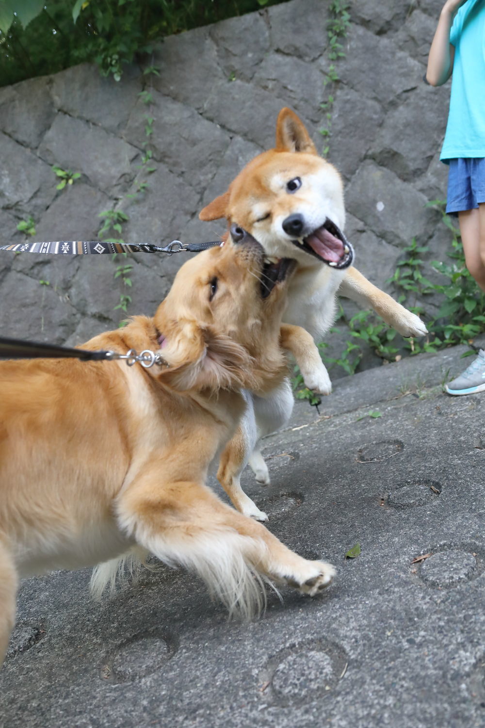 4連休の予定は・・・_b0275998_10010347.jpg
