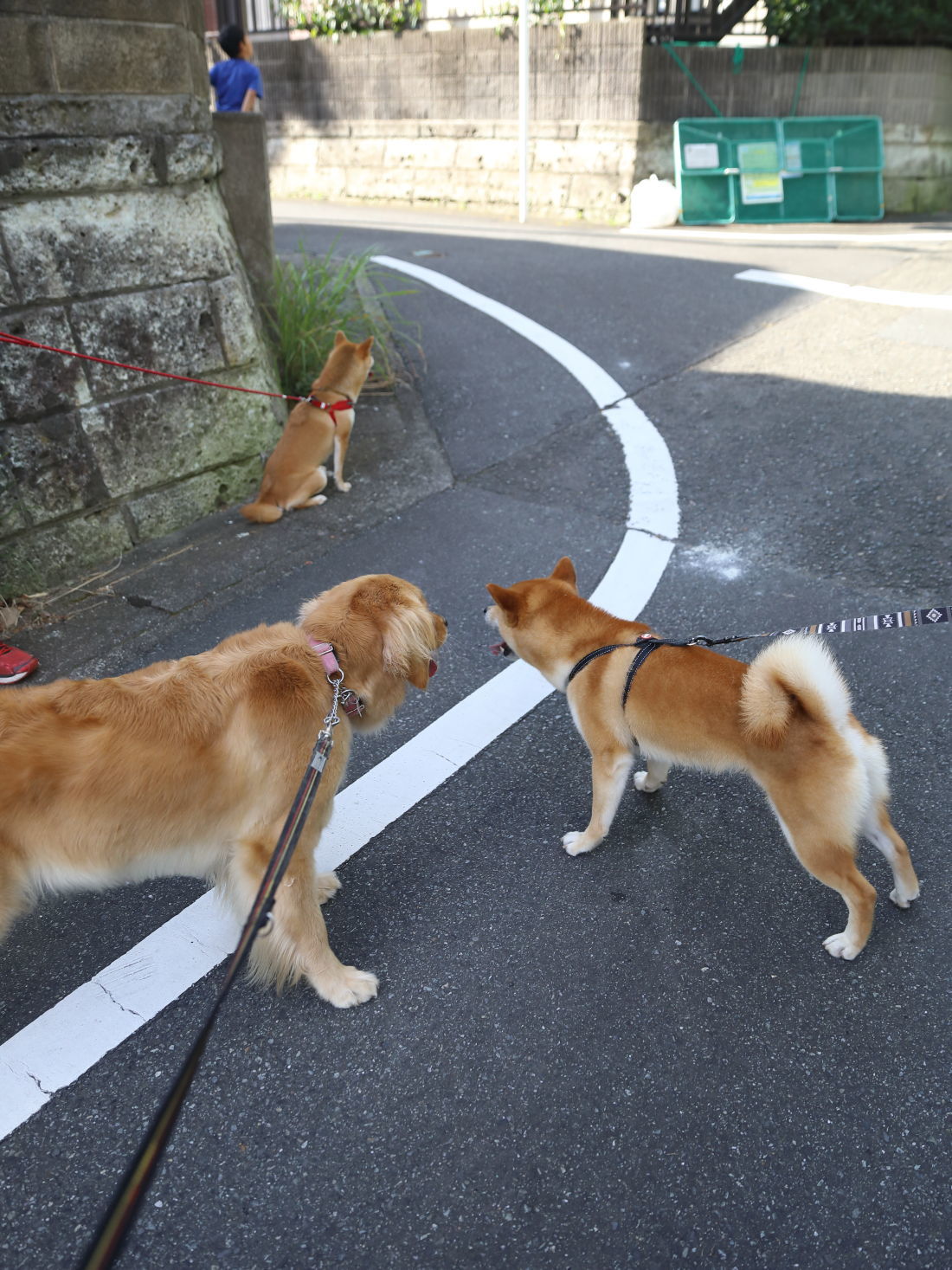 4連休の予定は・・・_b0275998_10093646.jpg