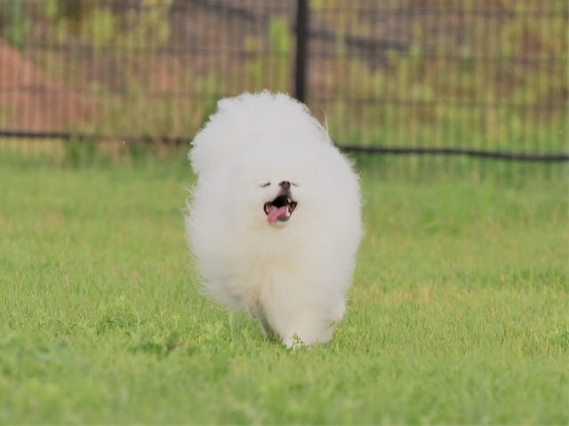 大好きなことばかり_d0360206_20330208.jpg