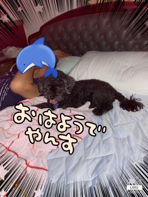ららちゃんの魂胆 気まま わがまま 思いのママ ららちゃんの魂胆 気まま わがまま 思いのママ