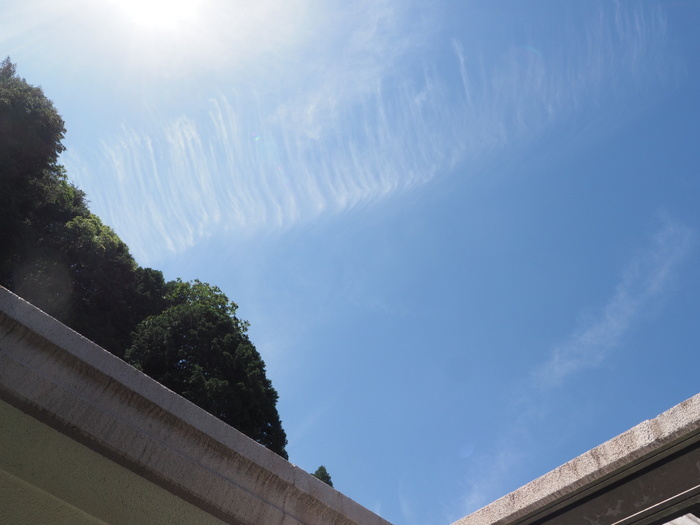 快晴_c0116915_23231674.jpg