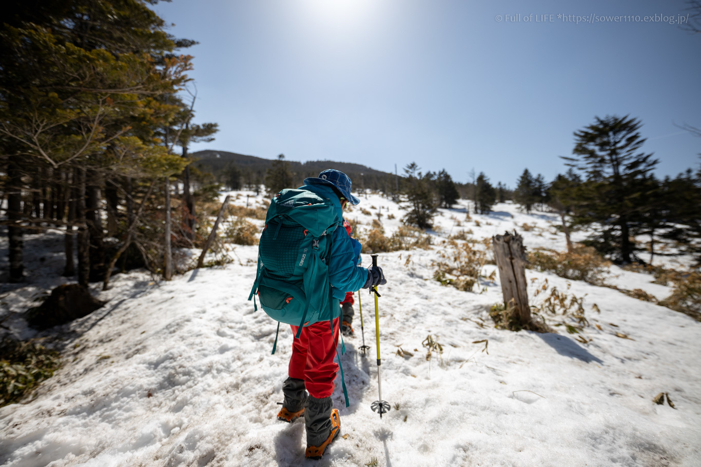 北八ヶ岳雪山登山に挑戦！「茶臼山」_c0369219_07374801.jpg