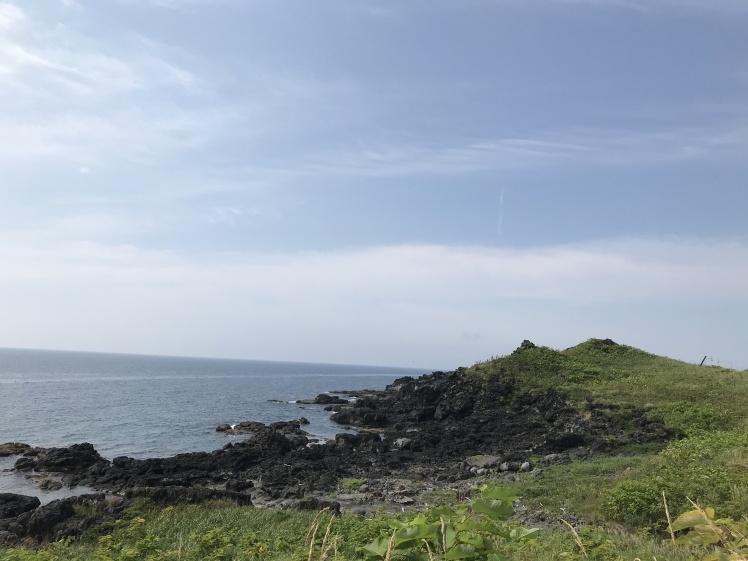 礼文島から利尻島へ_b0034072_07382792.jpeg