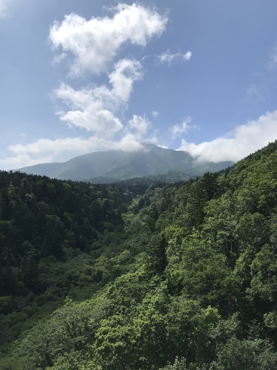 利尻島から稚内へ_b0034072_15044940.jpg