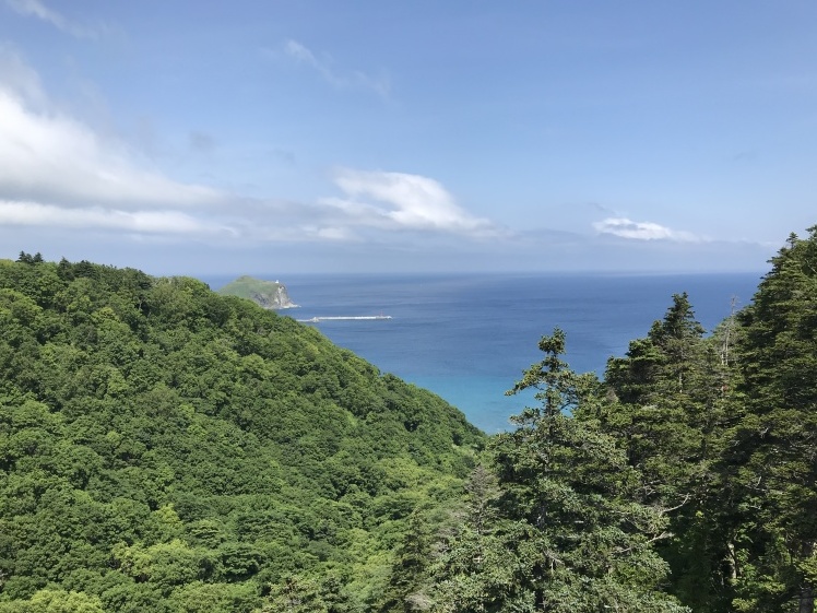 利尻島から稚内へ_b0034072_15045238.jpg