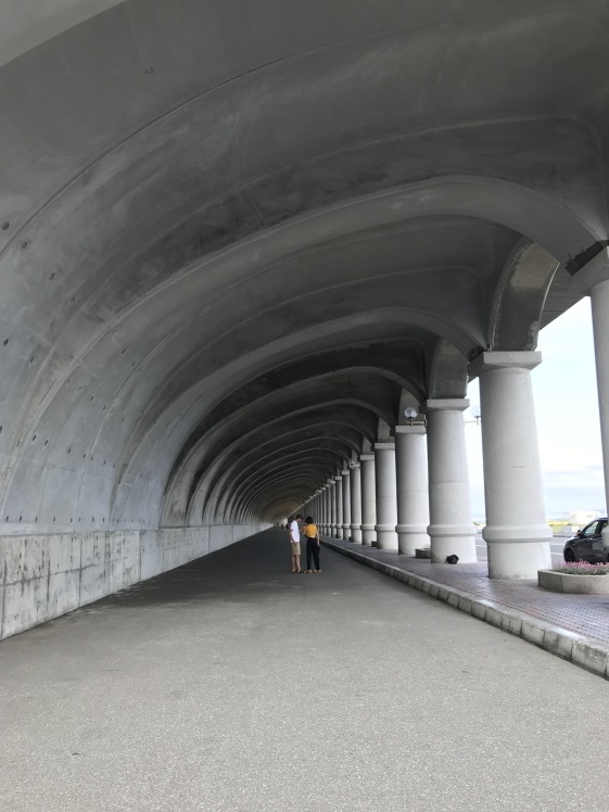 利尻島から稚内へ_b0034072_17452922.jpg