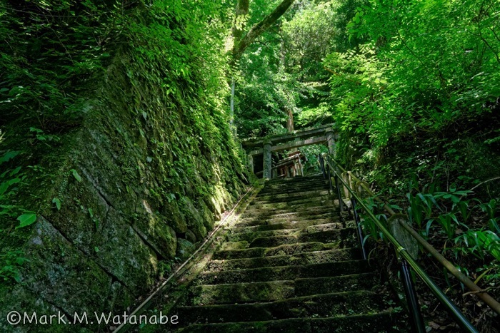 摂社嫗嶽稲荷(せっしゃうばだけいなり)神社の長い階段_e0135098_02083909.jpg