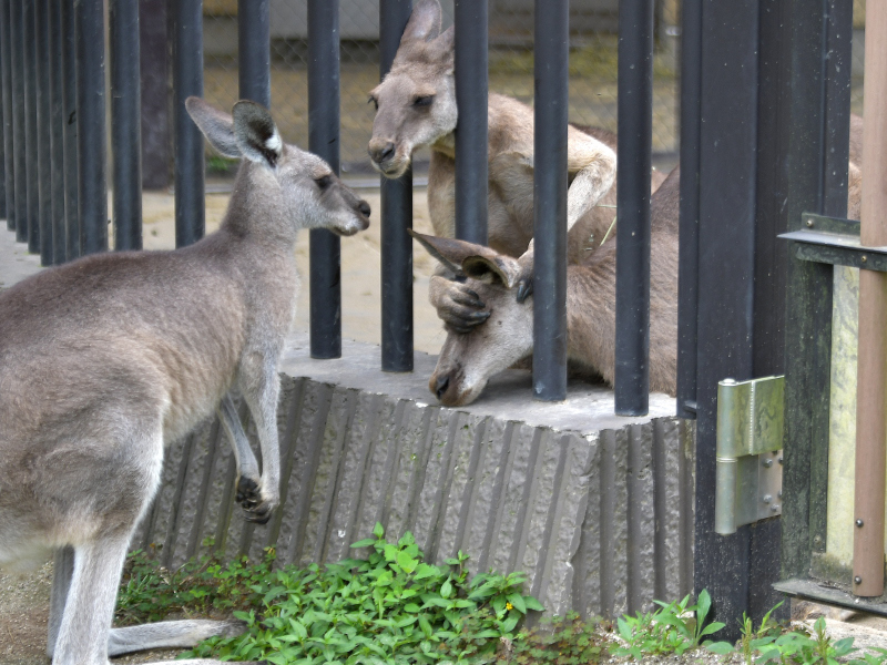 夏の始まり_a0164204_10460551.jpg