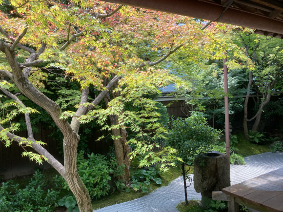 京都へ。_a0098418_16424287.jpg