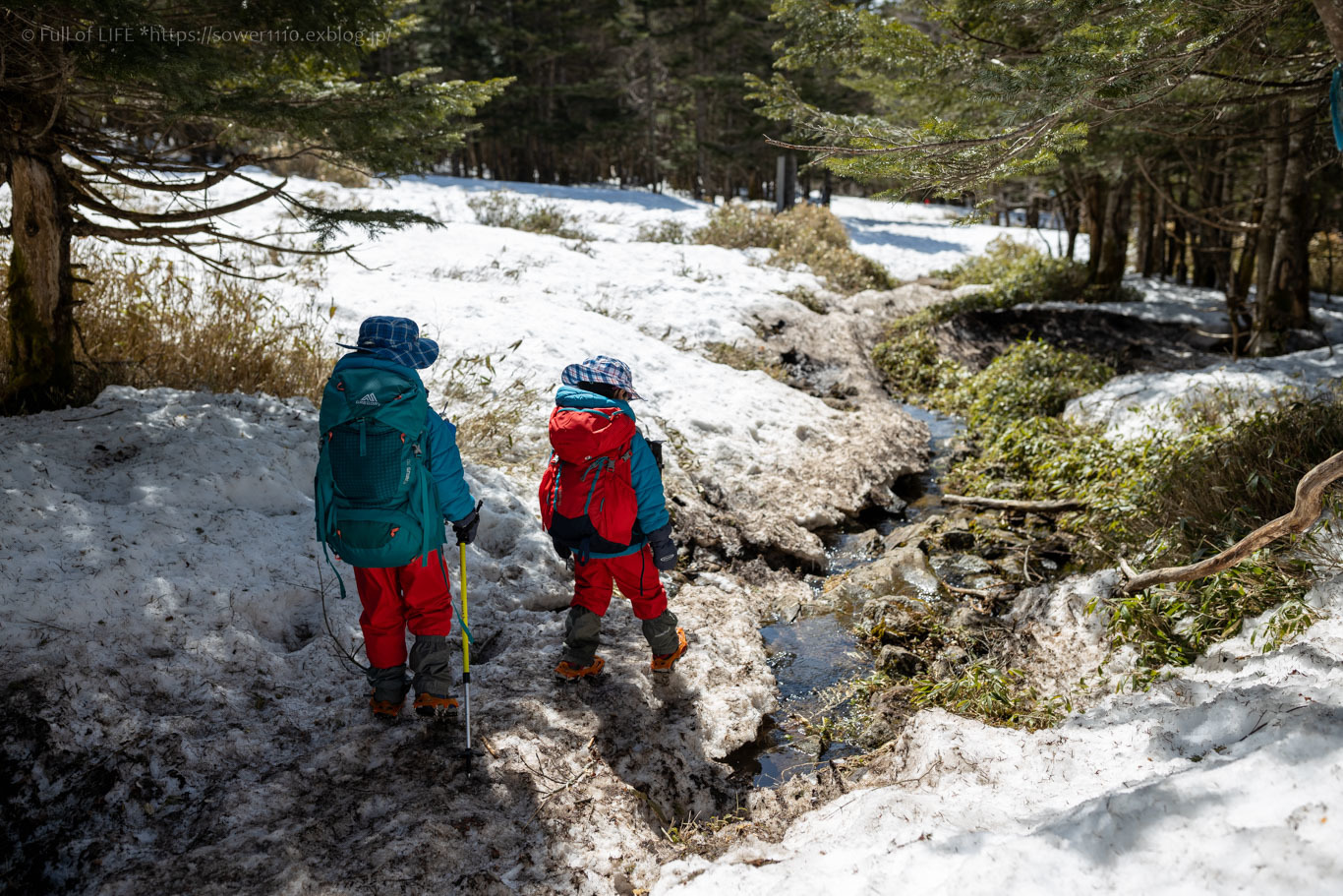 北八ヶ岳雪山登山に挑戦！「茶臼山」_c0369219_13374133.jpg