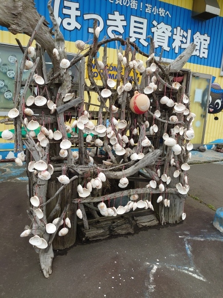 北海道ドライブ旅行_f0062031_15280895.jpg