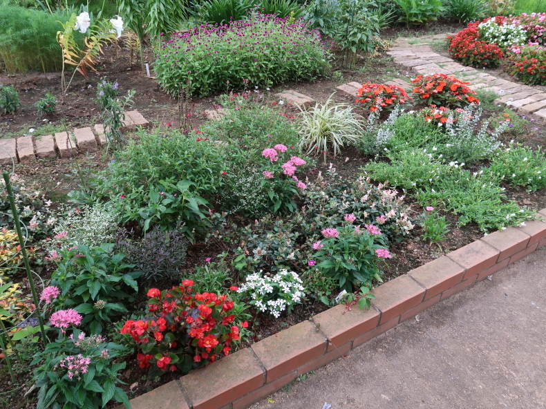 ジニア ガザニア ポーチュラカの切り戻し ニッキーののんびり気まま暮らし