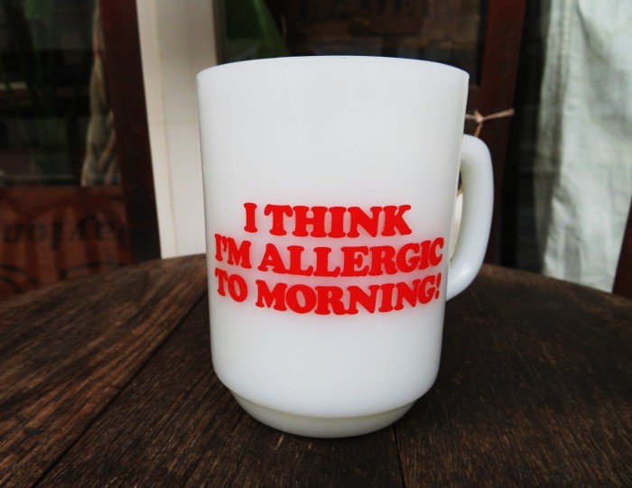 Fire　King　Snoopy　Mug　Morning　Allergy_e0187362_11371431.jpg