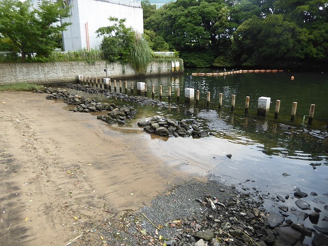 水上バスを降りて、アトレ竹芝でハンバーガー♪　家族Aの月命日散歩♪_b0287088_20100354.jpg