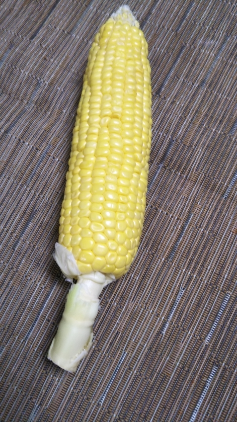 MAIZE ICE CREAM_f0076001_22544802.jpg