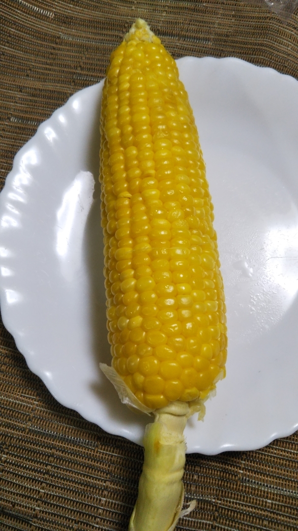 MAIZE ICE CREAM_f0076001_22545866.jpg