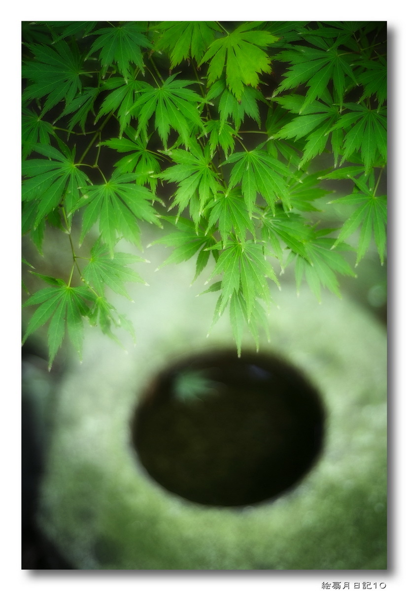 絵扇月日記(10)..._f0071708_12363372.jpg