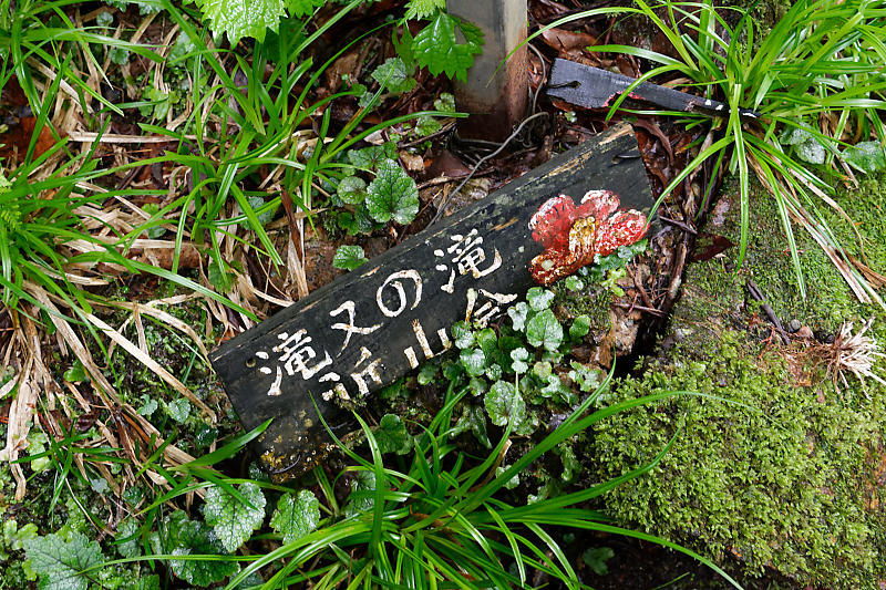 滝巡り@滝又の滝 _f0032011_09511601.jpg