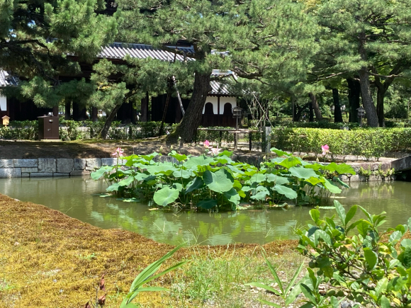 京都へ。_a0098418_06345787.jpg