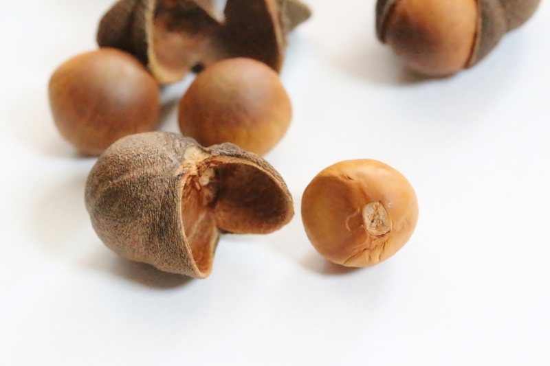 美味しそうで魅力的、心を奪われる「茶玉」_b0220318_14101762.jpg
