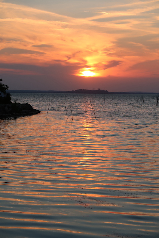 夕焼けの湖と空腹に鳴く雛と親鳥と、トラジメーノ湖_f0234936_23484083.jpg
