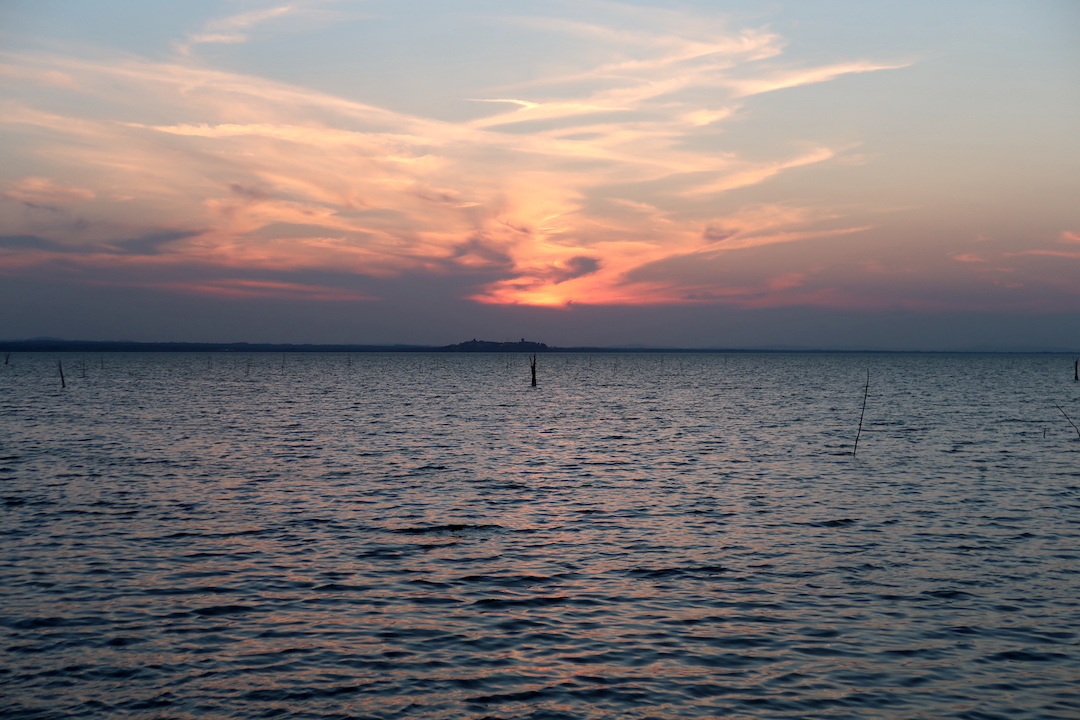 夕焼けの湖と空腹に鳴く雛と親鳥と、トラジメーノ湖_f0234936_23524469.jpg