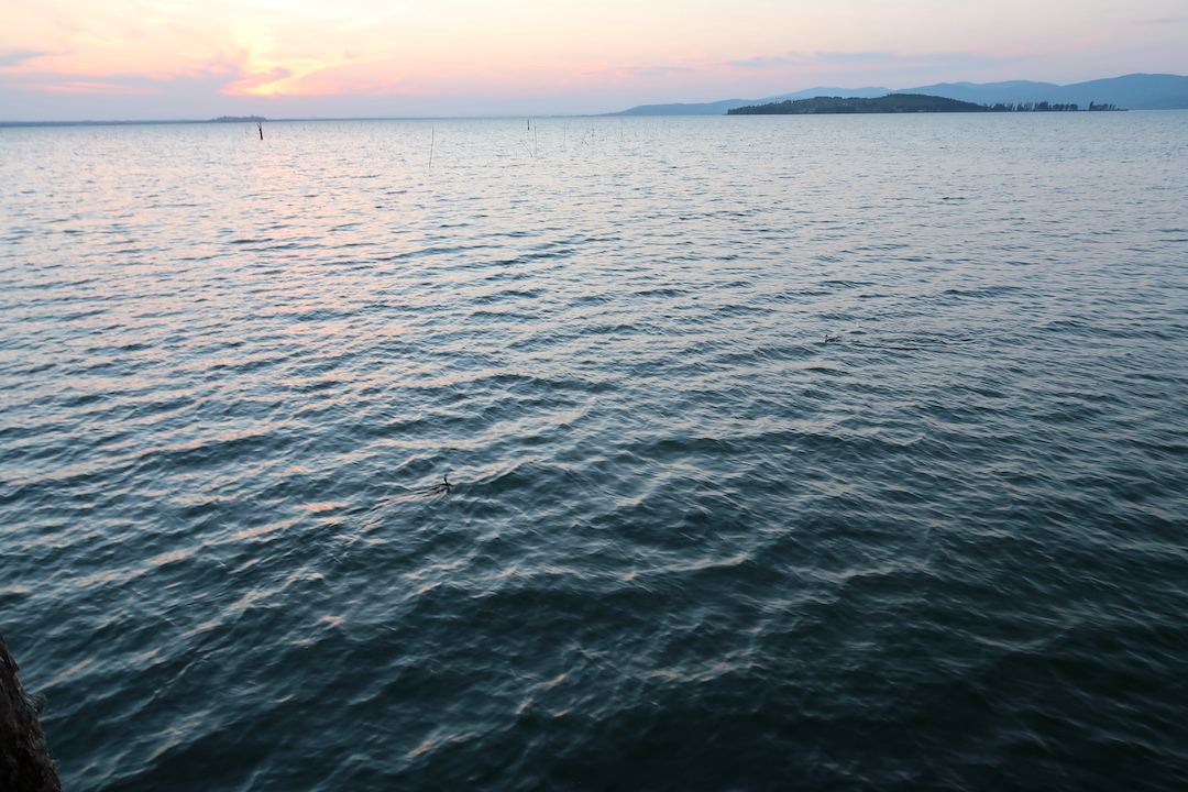 夕焼けの湖と空腹に鳴く雛と親鳥と、トラジメーノ湖_f0234936_23554014.jpg