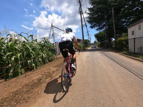 週に何度も自転車に乗ると短い距離なのに着実に疲労は困ぱいをしててそれに気付きながらもなんとか気持ち良く走りきるということに注力したライド_e0154650_19333350.jpg