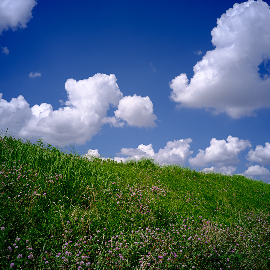 荒川の夏空~Ⅰ_c0084666_21291144.jpg