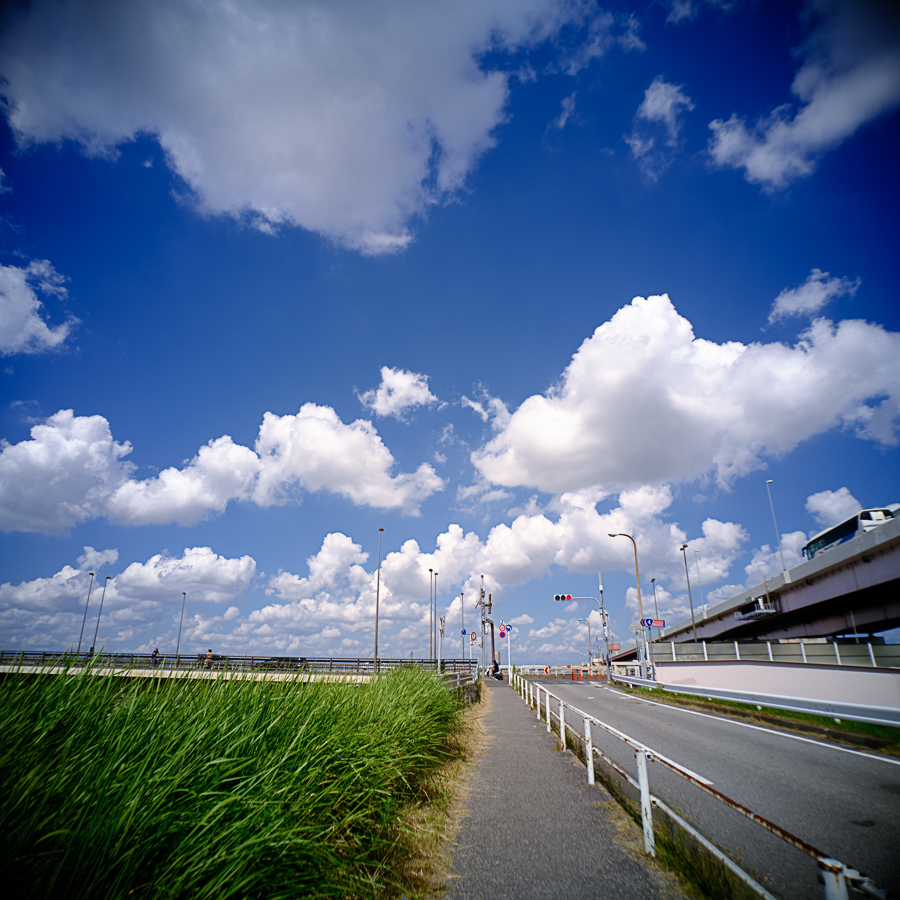 荒川の夏空～Ⅱ_c0084666_21533018.jpg