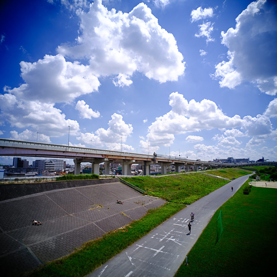 荒川の夏空～Ⅱ_c0084666_21540665.jpg