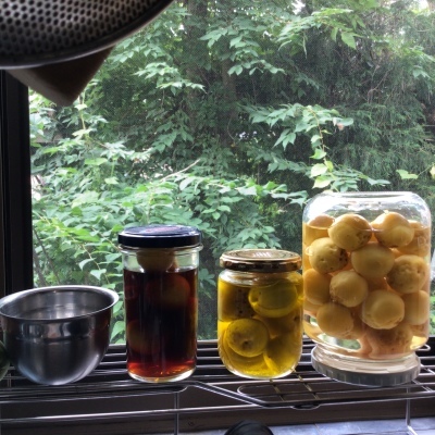 暑いのでダラダラ 2021/7、25_e0019167_13334474.jpeg