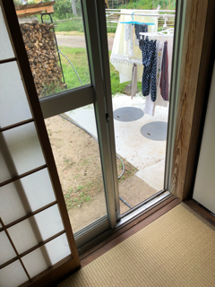 やっちまったな〜😫😖 痛い話に弱い人は読まない方が良いです💦_f0363168_16220406.png