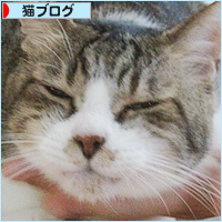 我が家の4連休_a0389088_18443616.jpg