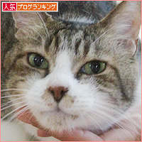 我が家の4連休_a0389088_18443640.jpg
