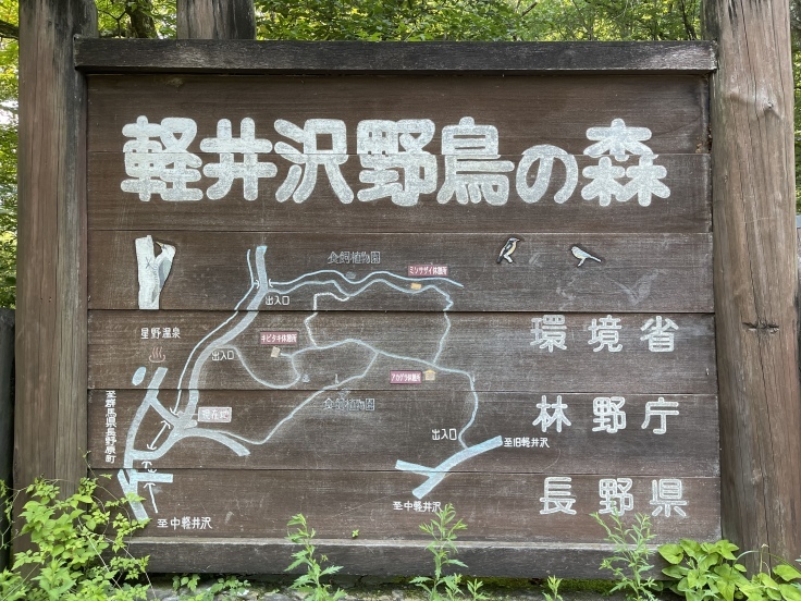 軽井沢*野鳥の森で森林浴を♪_c0212604_21262983.jpeg
