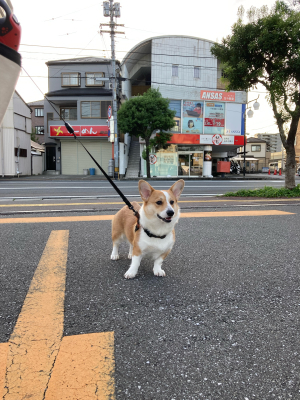 リズムをとりもどしたい_d0169411_22553497.jpg
