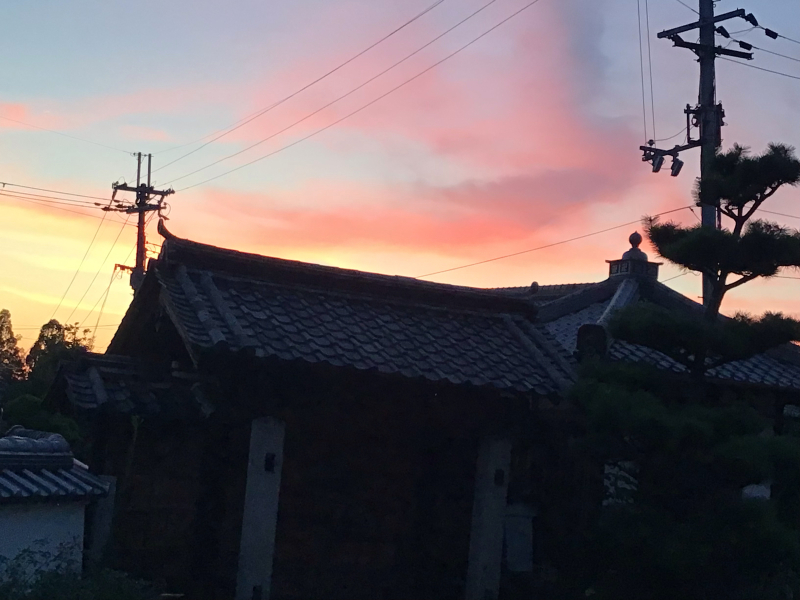 夜8時前に撮った庭の花_c0404712_22004713.jpg