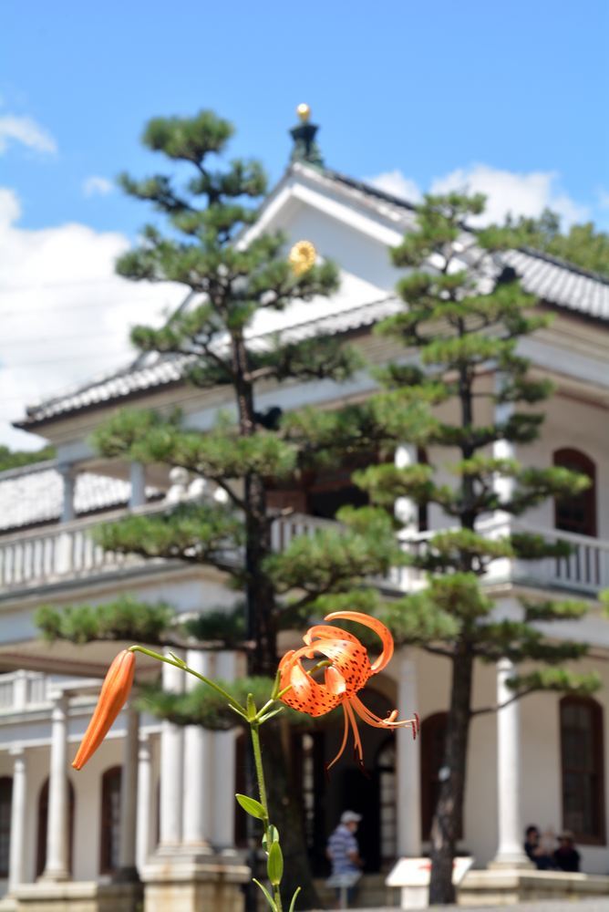 三重県庁舎前のオニユリの花2021_e0373930_18572036.jpg
