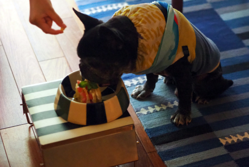 happy 14th birthday to cojill_e0243765_08404531.jpg