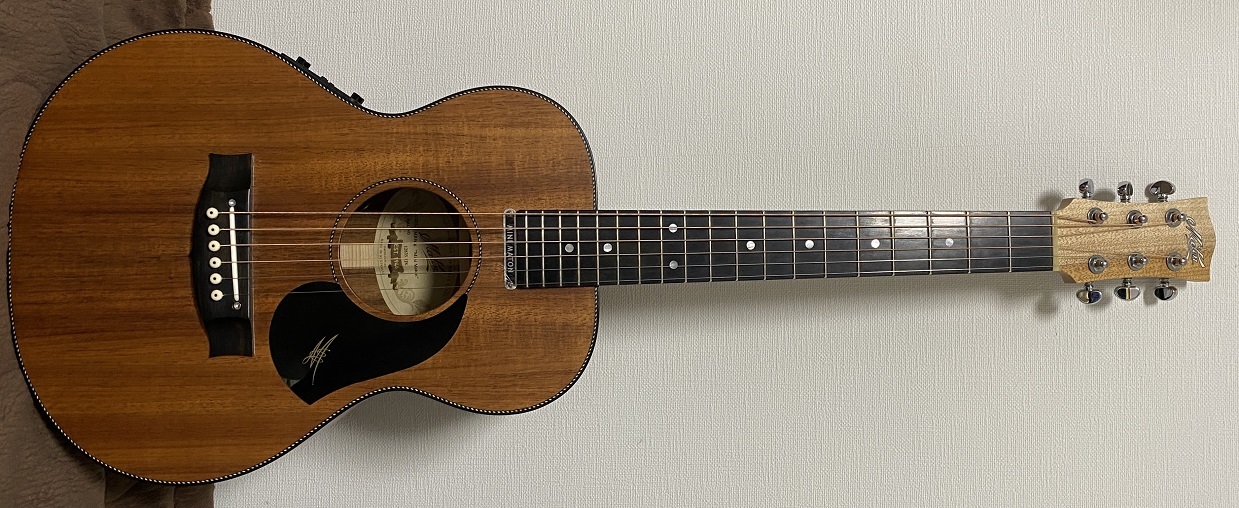 MATON