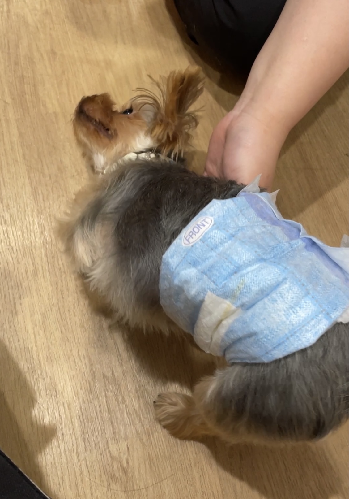 トレーニングブログ_f0357682_01040235.jpeg